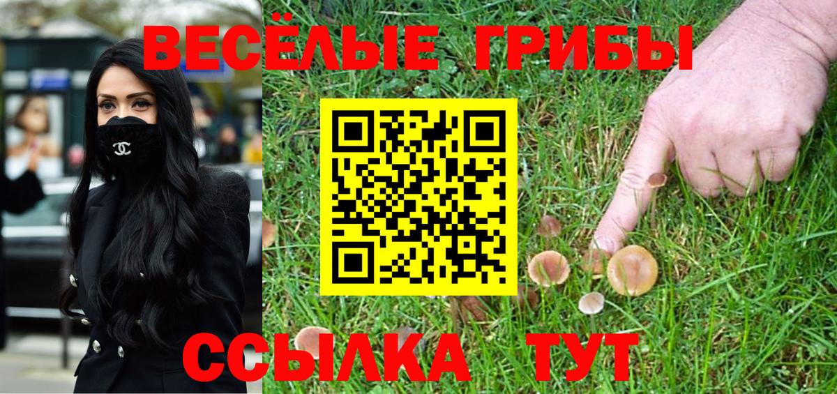 Галлюциногенные грибы Magic Shrooms  Вход с VPN  хочу наркоту  Сургут 